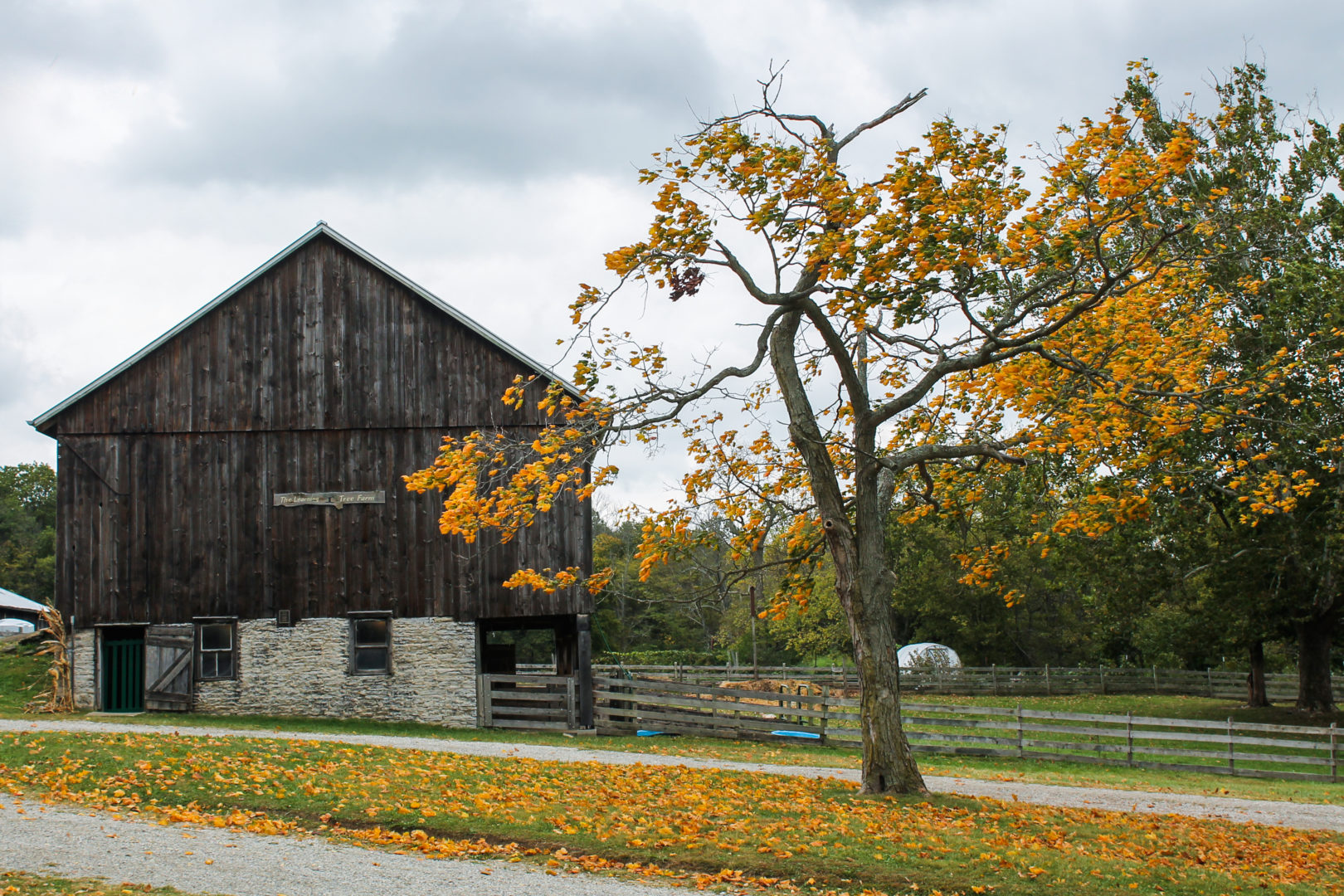 Barns Learning Tree Farm