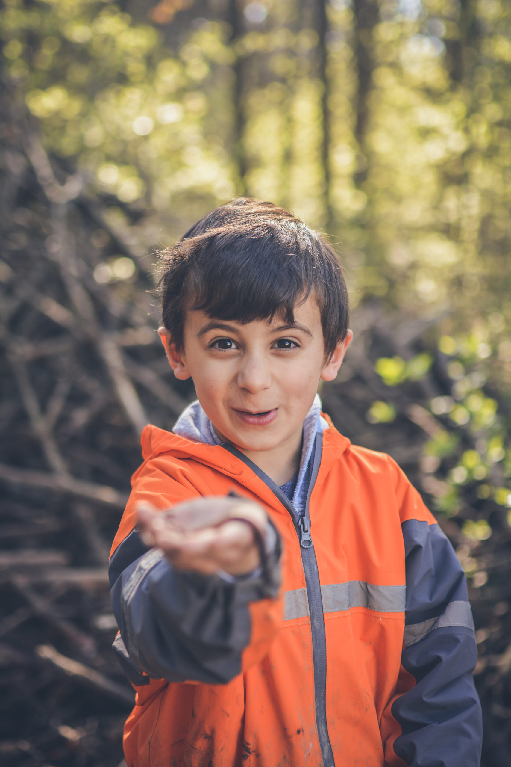 nature-preschool-learning-tree-farm