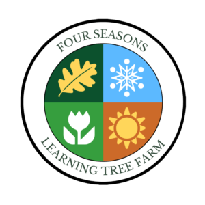 Four Seasons of Family Fun