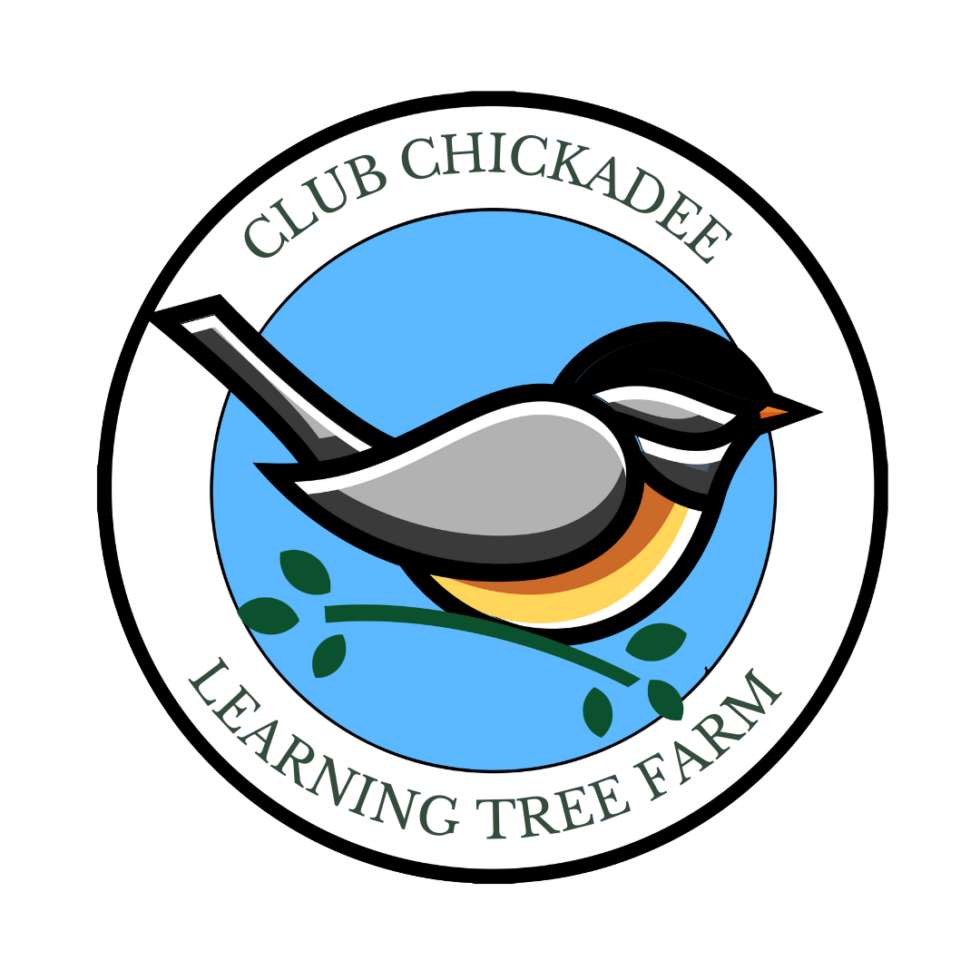 club-chickadee-learning-tree-farm