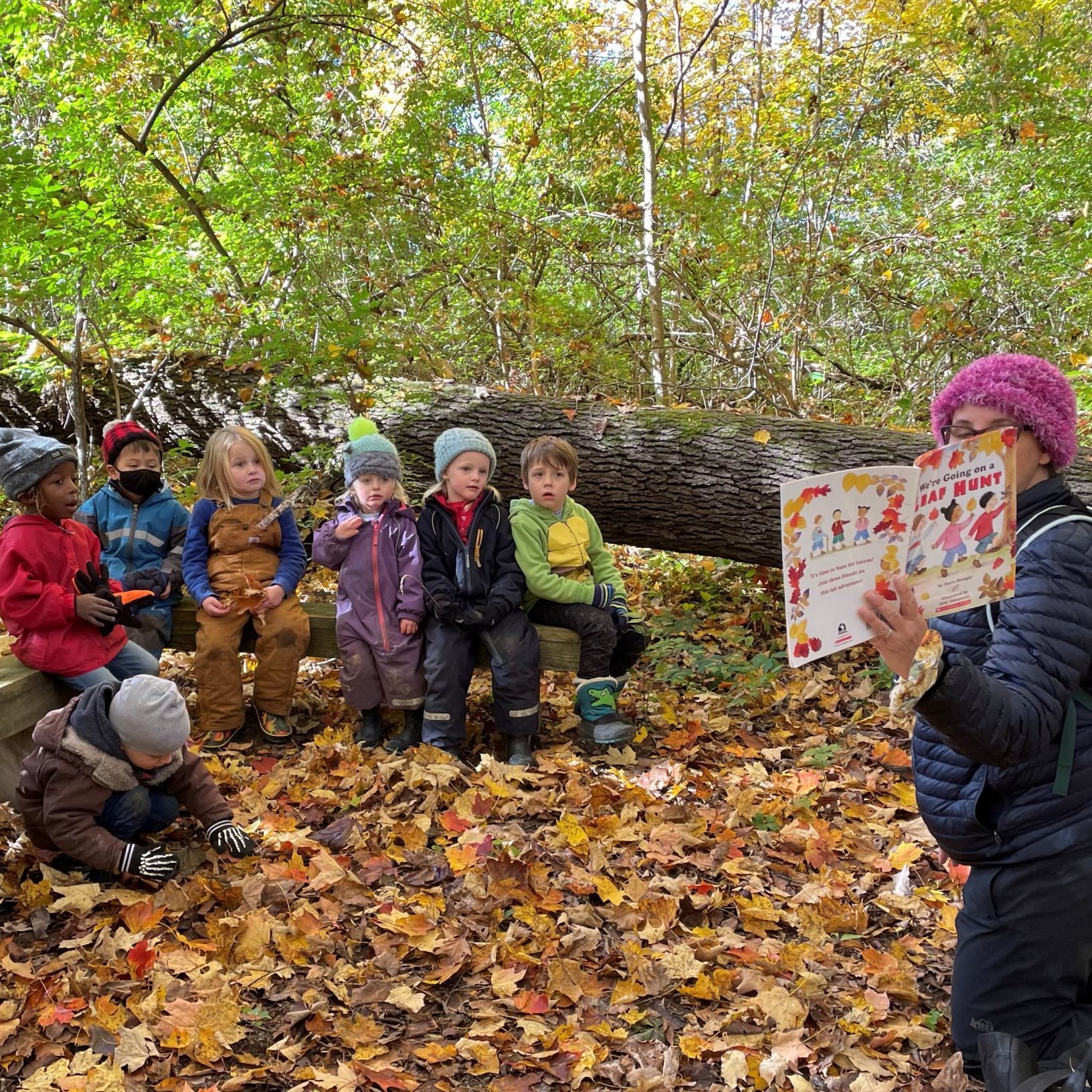 learning tree farm preschool