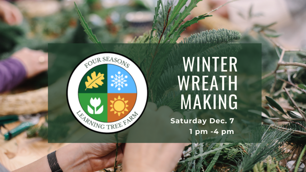 Homepage Learning Tree Farm