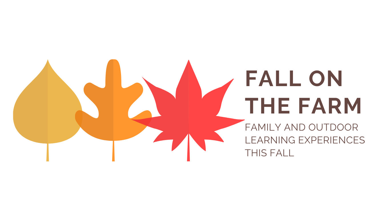 Fall on the Farm Web Header (Website) (2)
